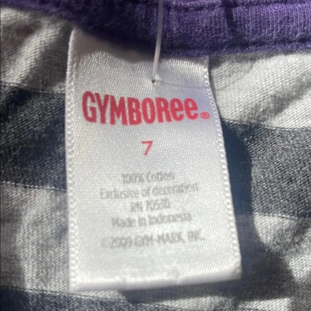 Gymboree Gray and Purple Striped Dance Tee
